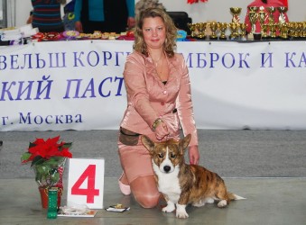 pastuh004 (Копировать)